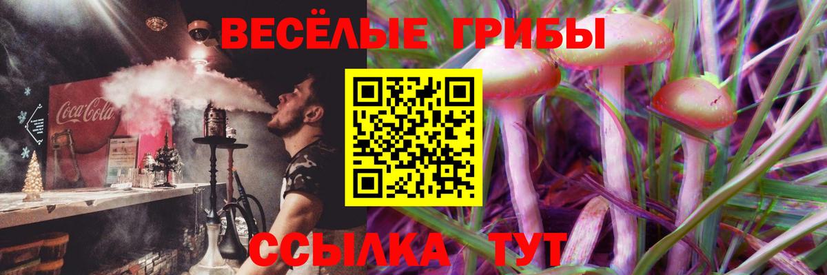 Псилоцибиновые грибы Cubensis Мариинск